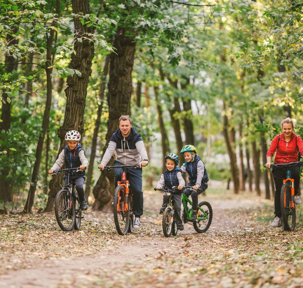 Woodland Cycling New Forest