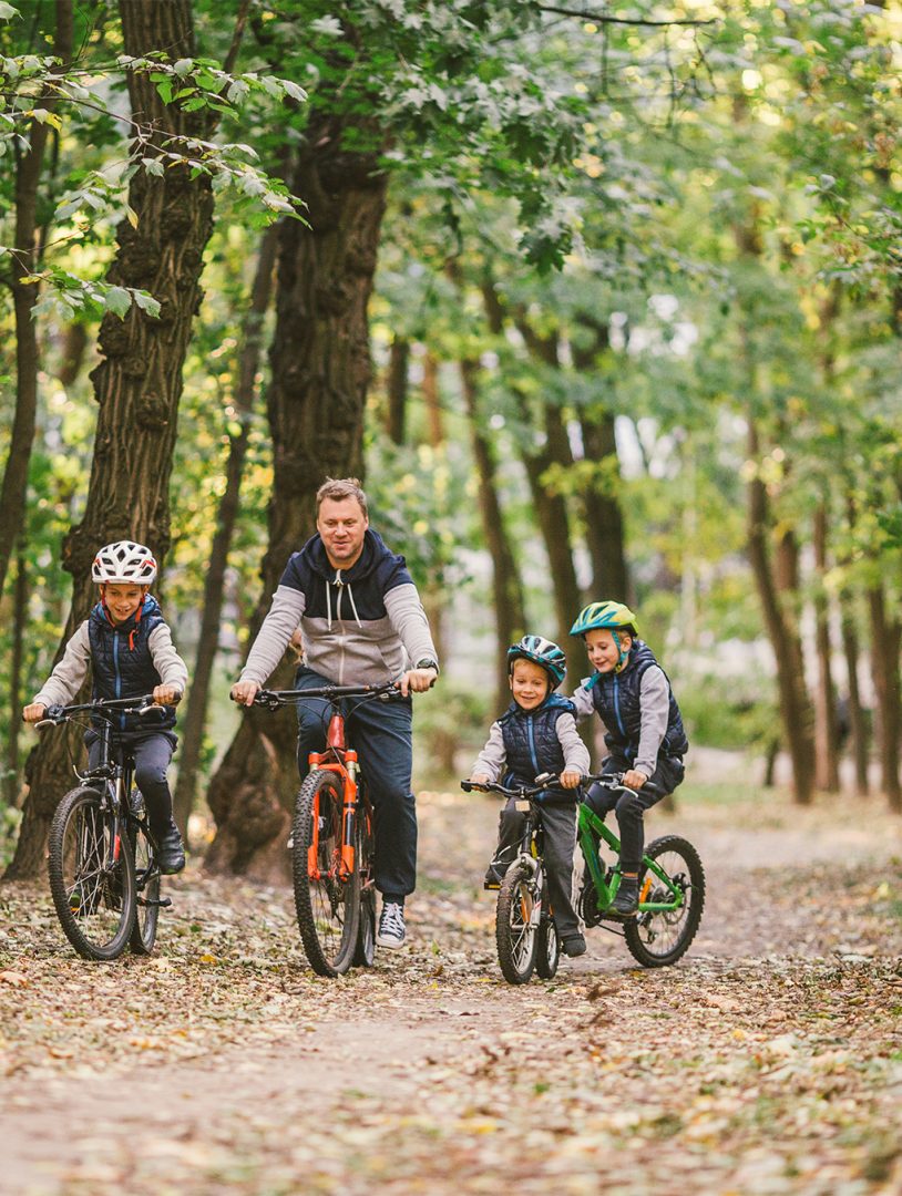 Woodland Cycling New Forest